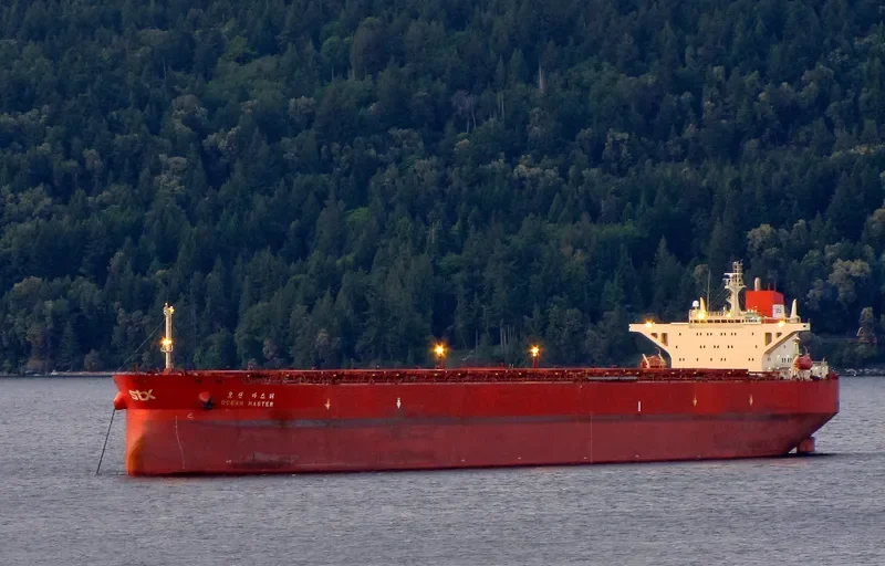 OCEAN MASTER Bulk Carrier IMO 9108685 photo 3