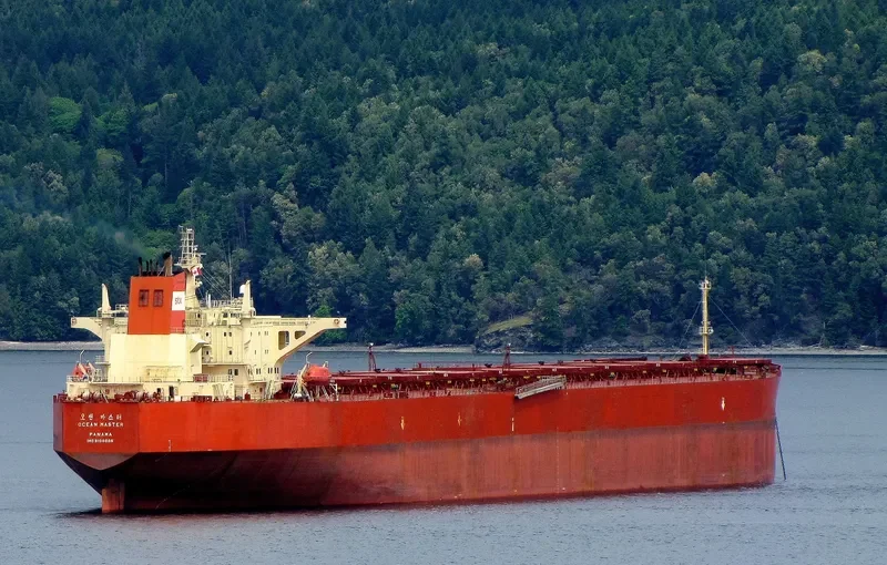 OCEAN MASTER Bulk Carrier IMO 9108685 photo 5
