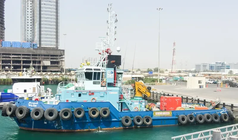 SHEEM General Cargo IMO 9108790