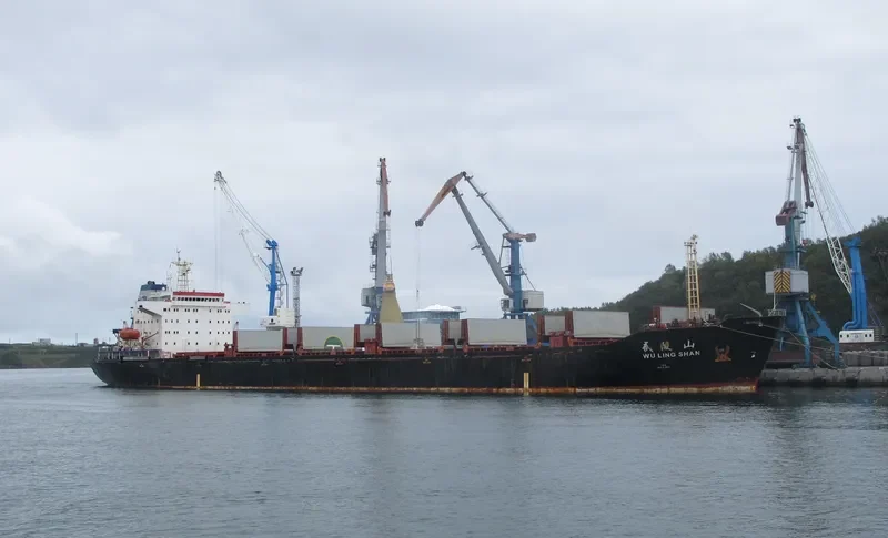 WU LING SHAN Bulk Carrier IMO 9108910 photo 2