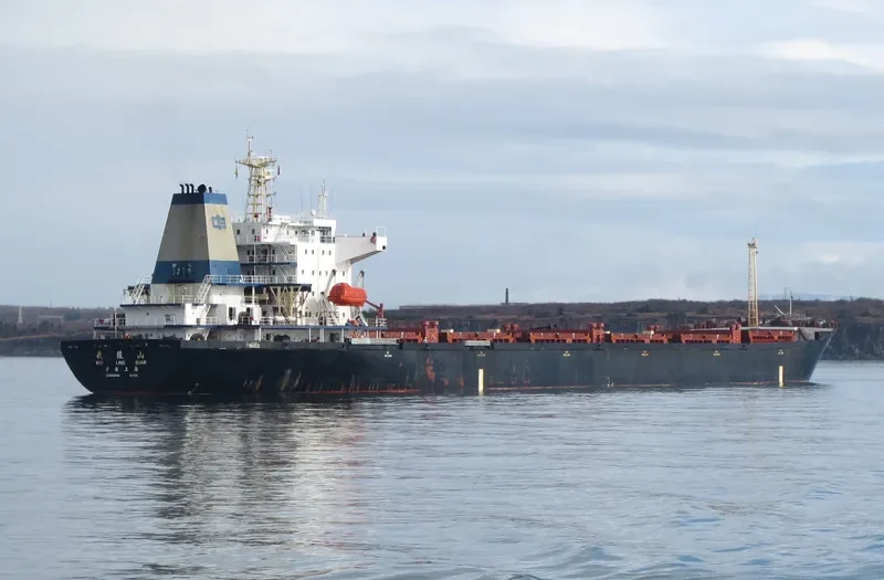 WU LING SHAN Bulk Carrier IMO 9108910 photo 5