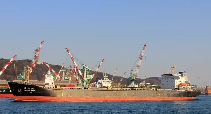HUA DA SHAN Bulk Carrier IMO 9108922 photo 2