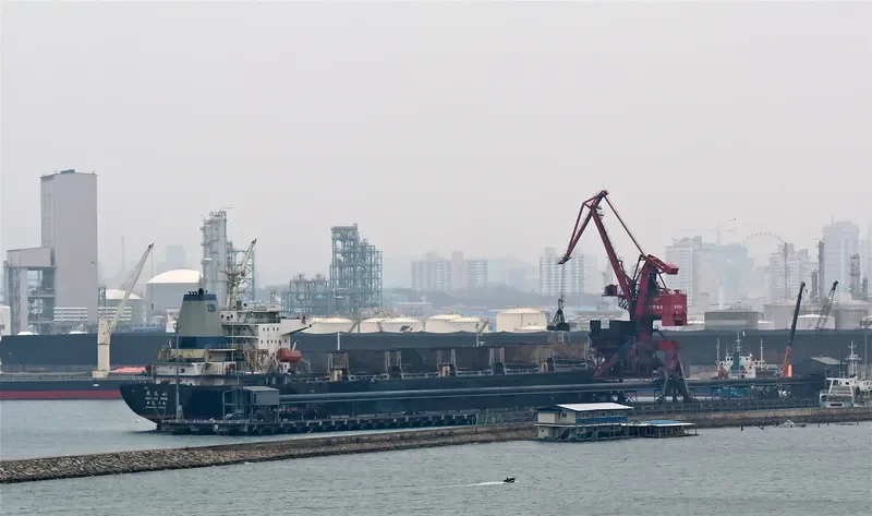 HUA DA SHAN Bulk Carrier IMO 9108922 photo 5