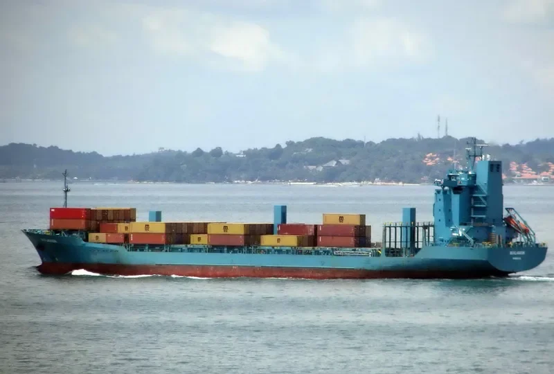 BUXLAGOON Container Ship IMO 9109029 photo 2