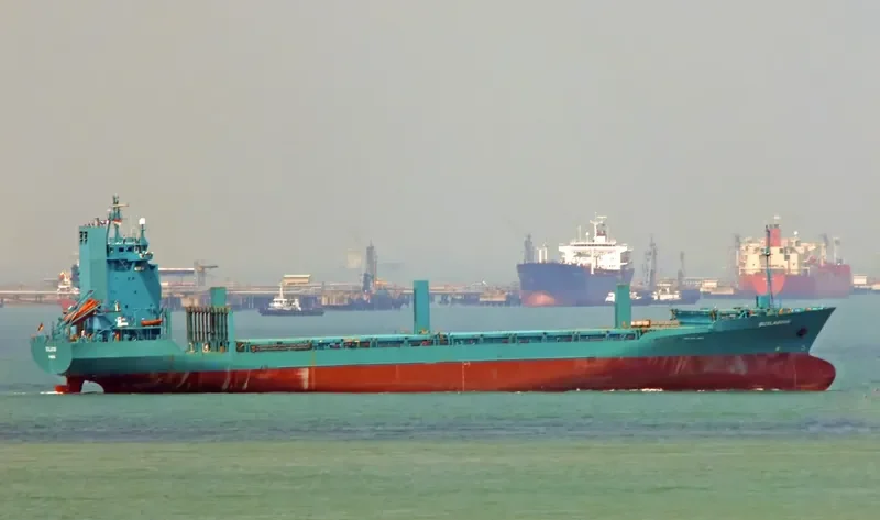 BUXLAGOON Container Ship IMO 9109029 photo 8