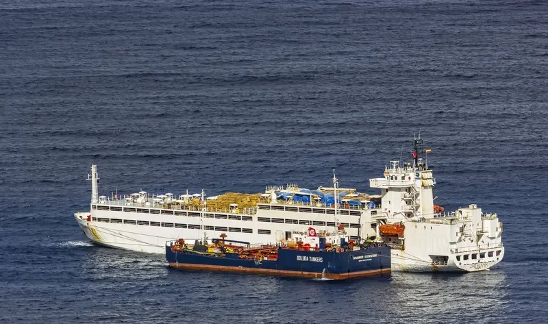 ZAD ELKHIR General Cargo IMO 9109079 photo 8