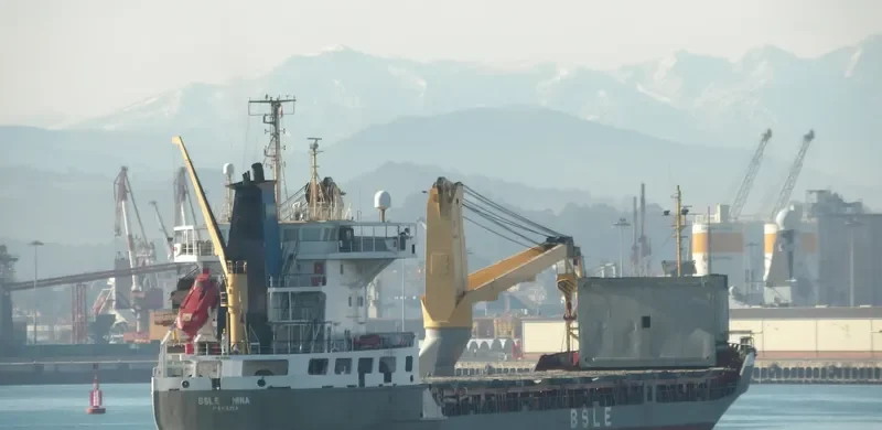 BSLE NINA Container Ship IMO 9109108 photo 3