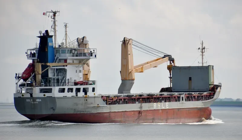 BSLE NINA Container Ship IMO 9109108 photo 6