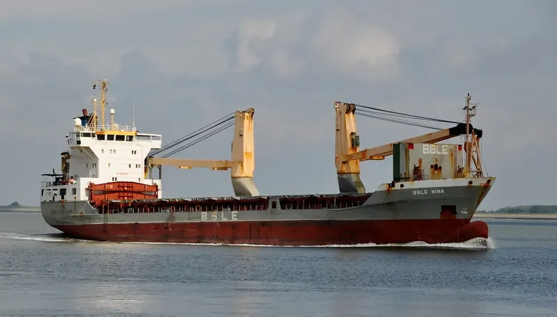 BSLE NINA Container Ship IMO 9109108 photo 7