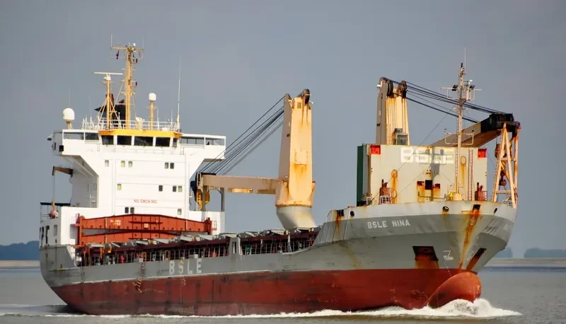 BSLE NINA Container Ship IMO 9109108 photo 8