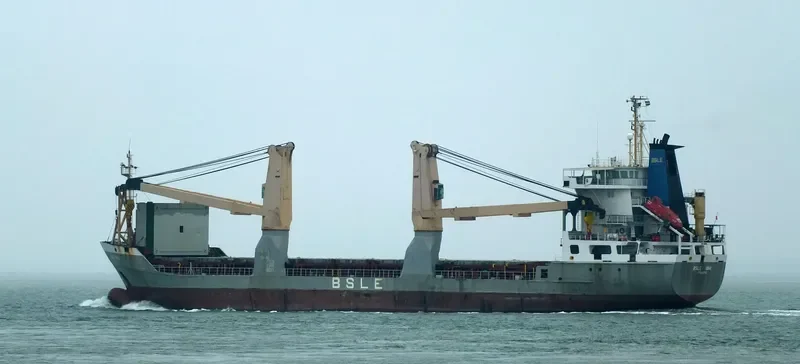 BSLE NINA Container Ship IMO 9109108 photo 9