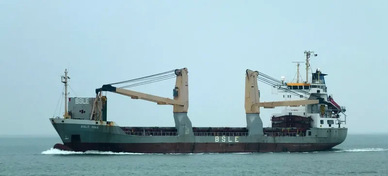 BSLE NINA Container Ship IMO 9109108 photo 10