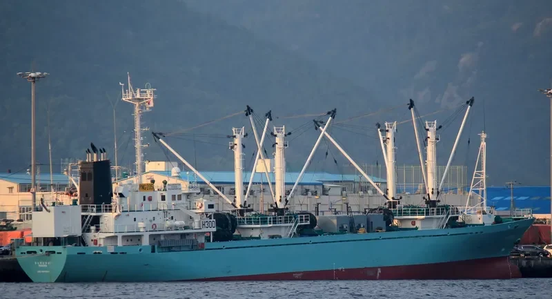 BAO WIN General Cargo IMO 9109263 photo 2
