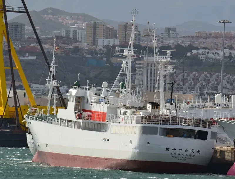 CHOKYU MARU NO.11 General Cargo IMO 9109330