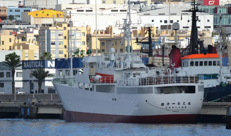 CHOKYU MARU NO.11 General Cargo IMO 9109330 photo 5
