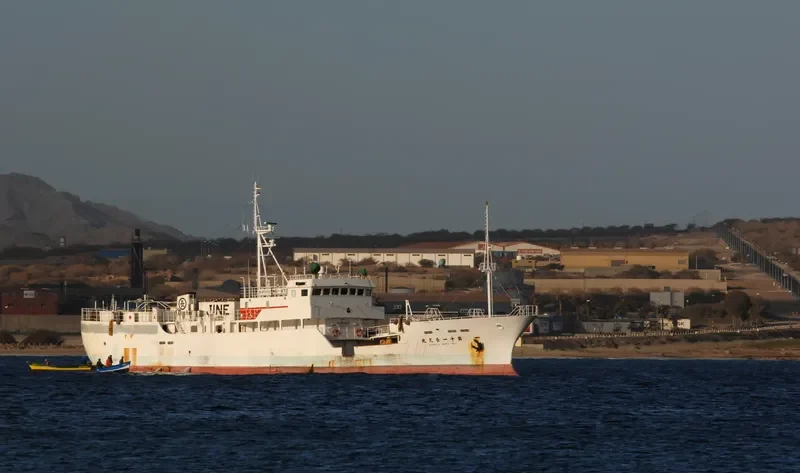 CHOKYU MARU NO.11 General Cargo IMO 9109330 photo 7