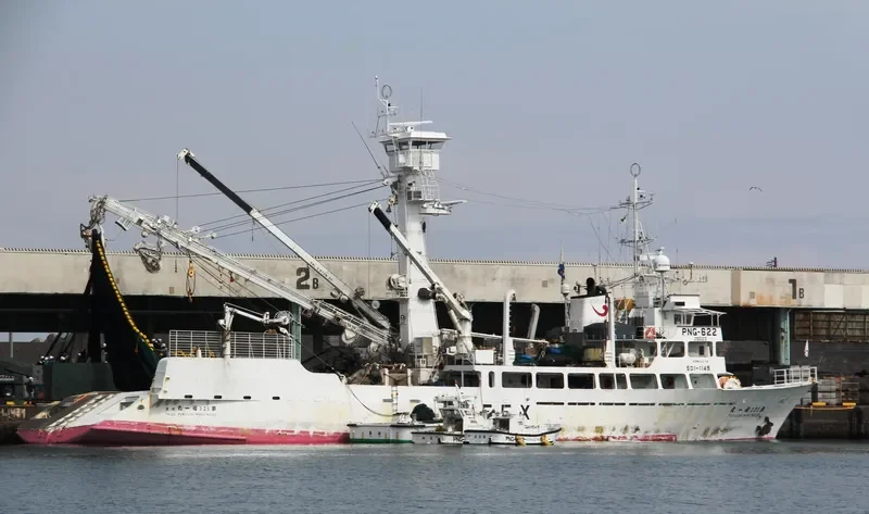 FUKUICHI MARU NO.123 General Cargo IMO 9109342 photo 3