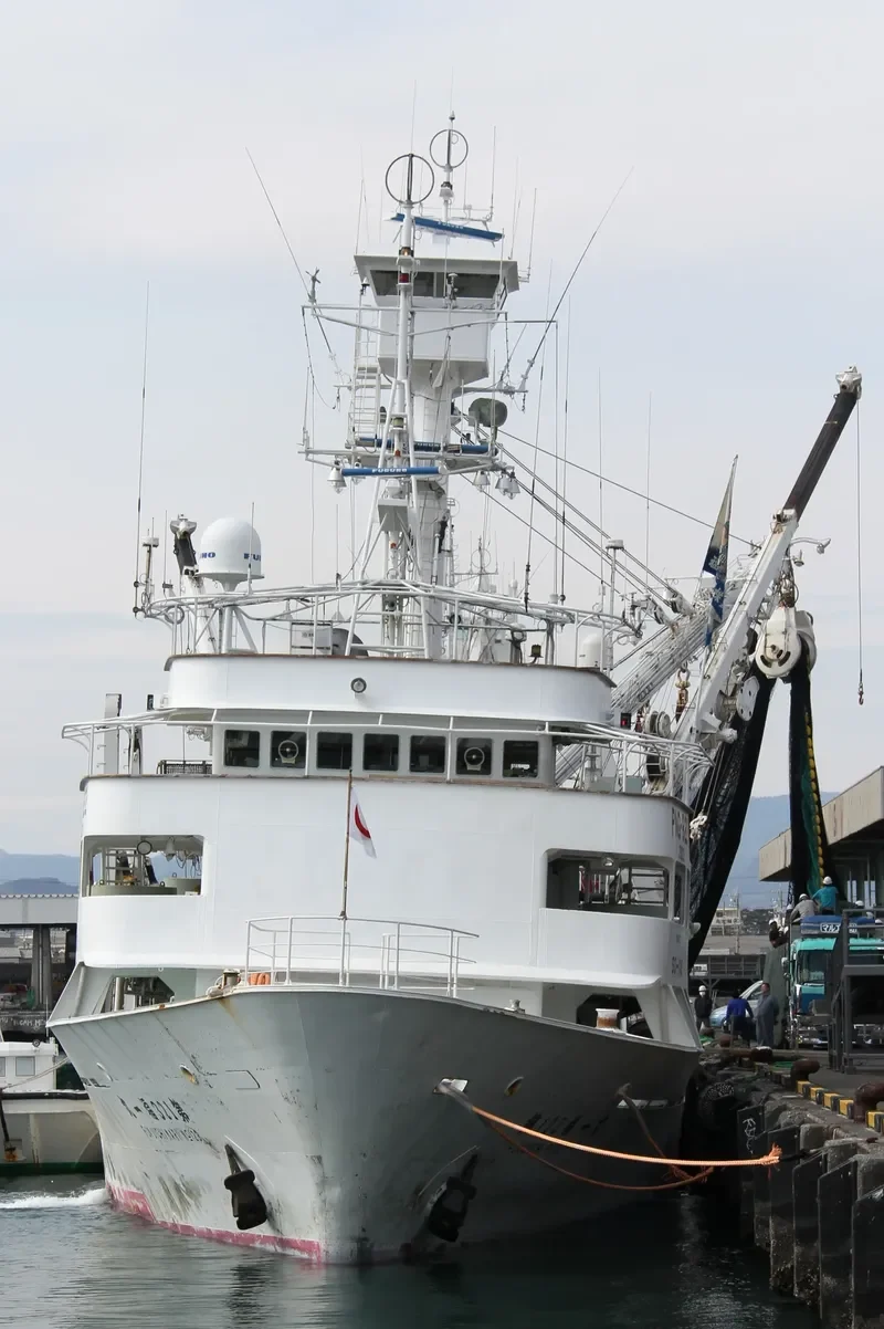 FUKUICHI MARU NO.123 General Cargo IMO 9109342 photo 4