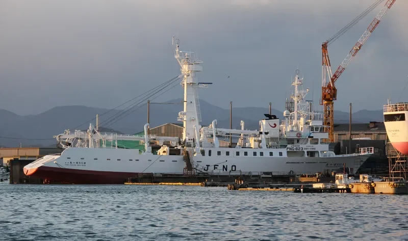 FUKUICHI MARU NO.123 General Cargo IMO 9109342 photo 6