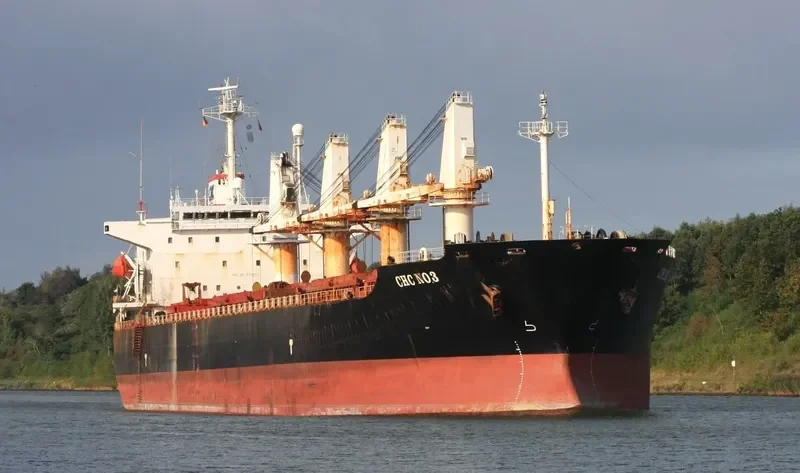 TONG JI MEN Bulk Carrier IMO 9109354 photo 10