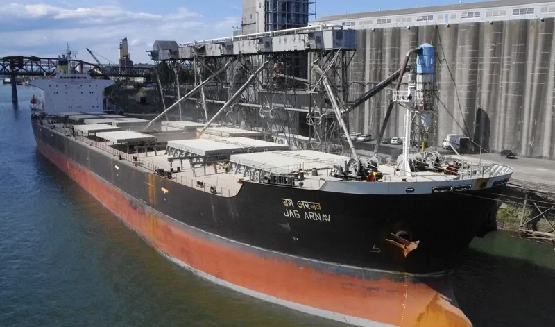 SHENG MING Bulk Carrier IMO 9109392 photo 3