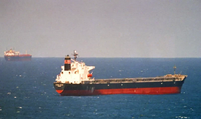 SHENG MING Bulk Carrier IMO 9109392 photo 5