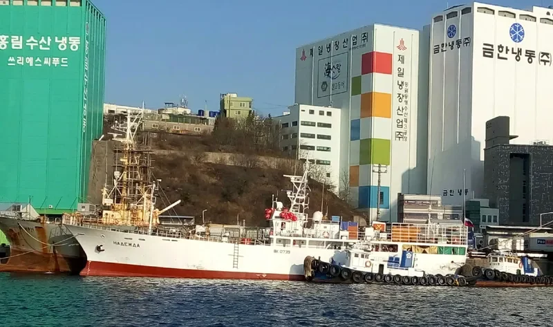 NADEZHDA General Cargo IMO 9109445 photo 2