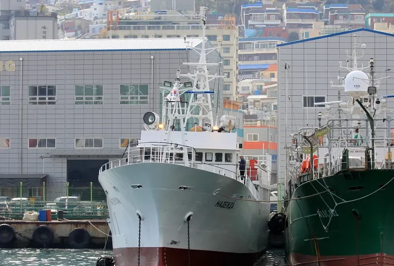 NADEZHDA General Cargo IMO 9109445 photo 3