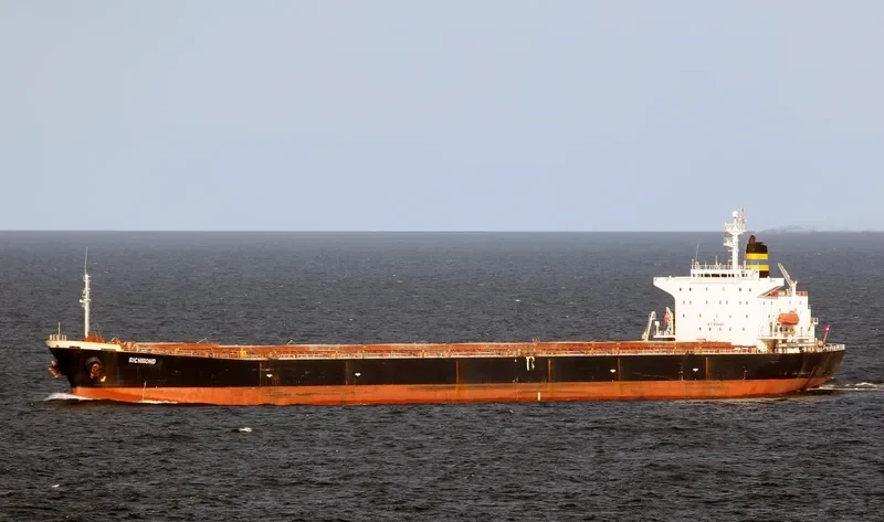 RICHMOND Bulk Carrier IMO 9109483 photo 3