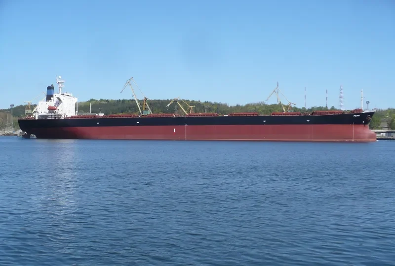 RICHMOND Bulk Carrier IMO 9109483 photo 9