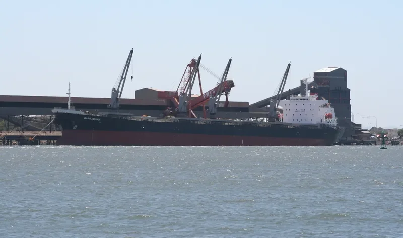 MP PANAMAX 4 Bulk Carrier IMO 9109495
