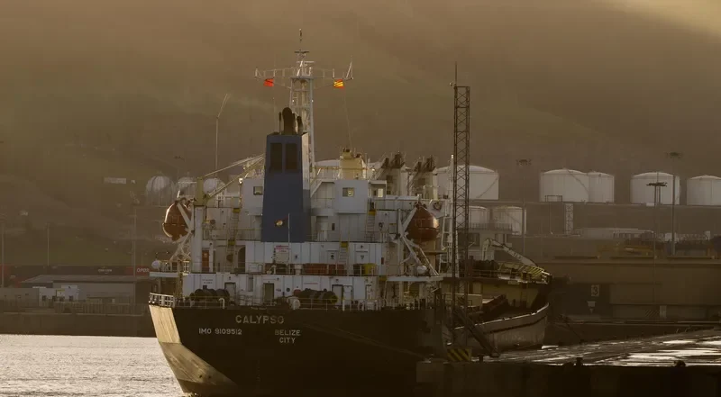 POLARIS Z Bulk Carrier IMO 9109512 photo 2