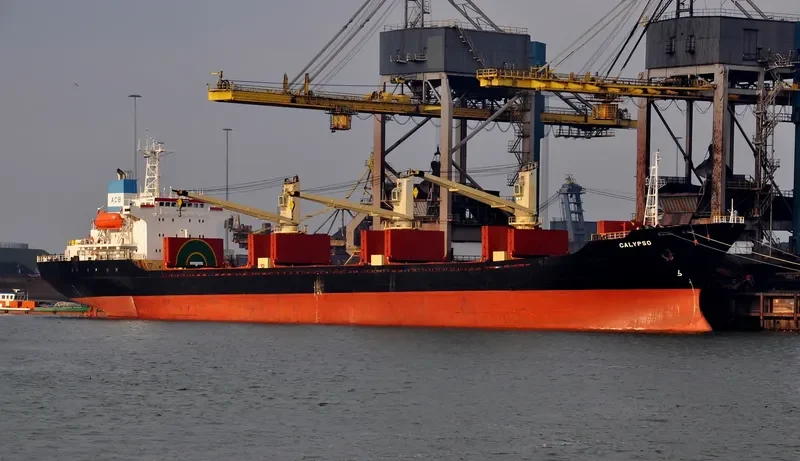 POLARIS Z Bulk Carrier IMO 9109512 photo 5