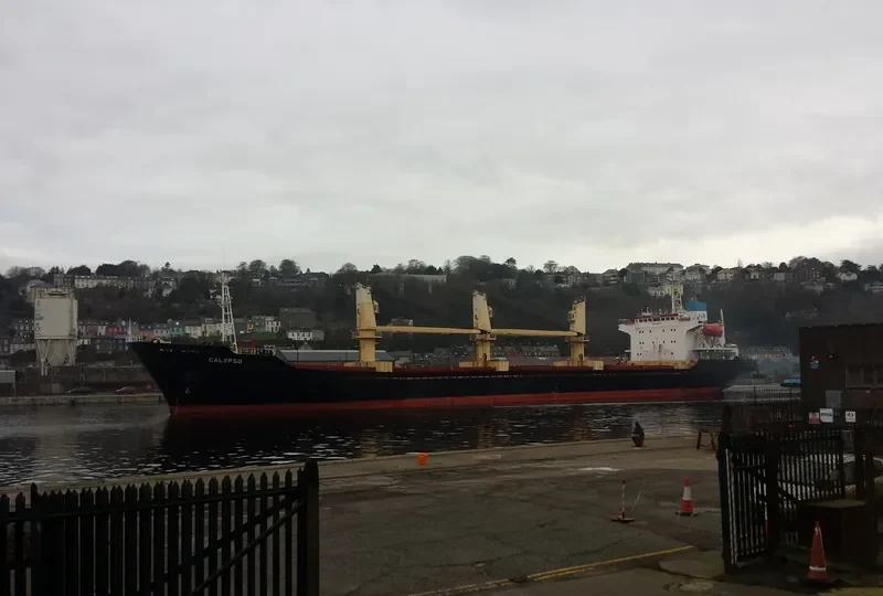 POLARIS Z Bulk Carrier IMO 9109512 photo 6