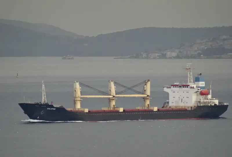 POLARIS Z Bulk Carrier IMO 9109512 photo 7