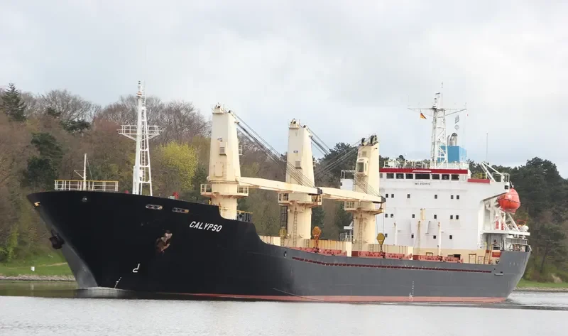 POLARIS Z Bulk Carrier IMO 9109512 photo 8