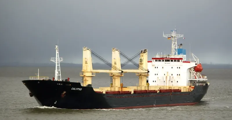 POLARIS Z Bulk Carrier IMO 9109512 photo 9