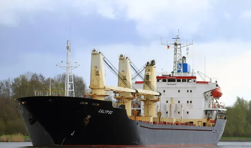 POLARIS Z Bulk Carrier IMO 9109512 photo 10