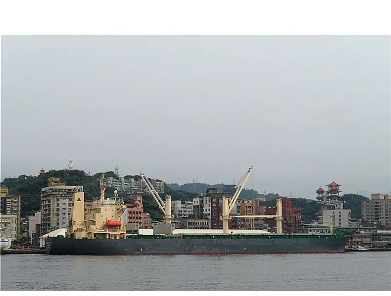 U THAR Bulk Carrier IMO 9109524 photo 3