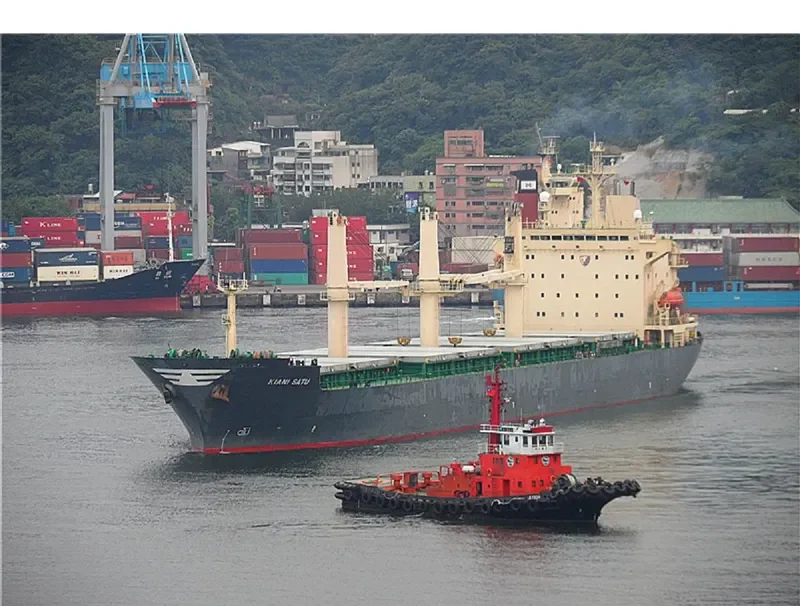 U THAR Bulk Carrier IMO 9109524 photo 5