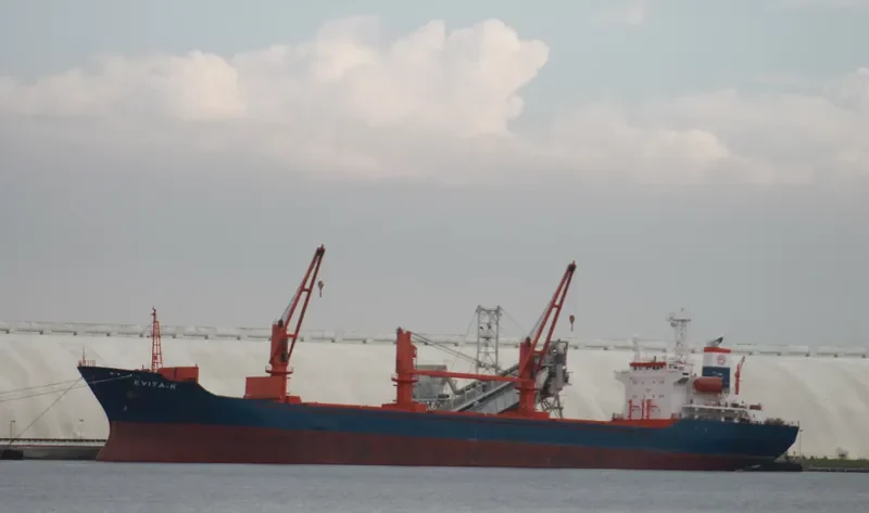 U THAR Bulk Carrier IMO 9109524 photo 6