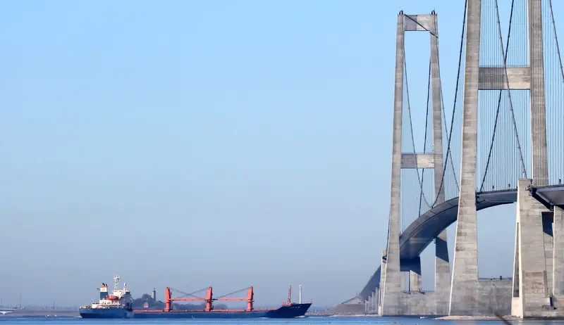 U THAR Bulk Carrier IMO 9109524 photo 8