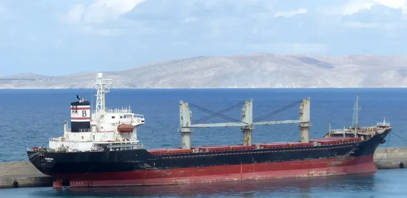 IDA Bulk Carrier IMO 9109536 photo 2