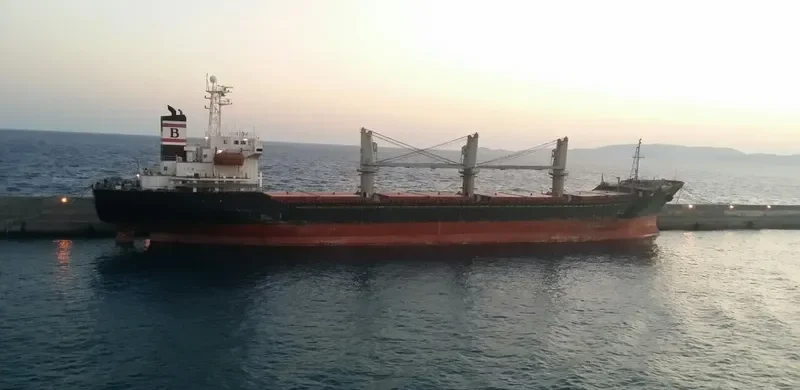 IDA Bulk Carrier IMO 9109536 photo 3