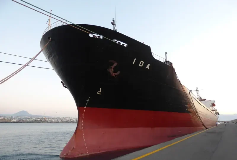 IDA Bulk Carrier IMO 9109536 photo 5