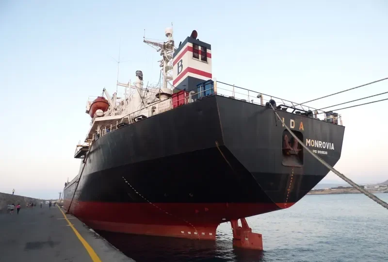 IDA Bulk Carrier IMO 9109536 photo 6
