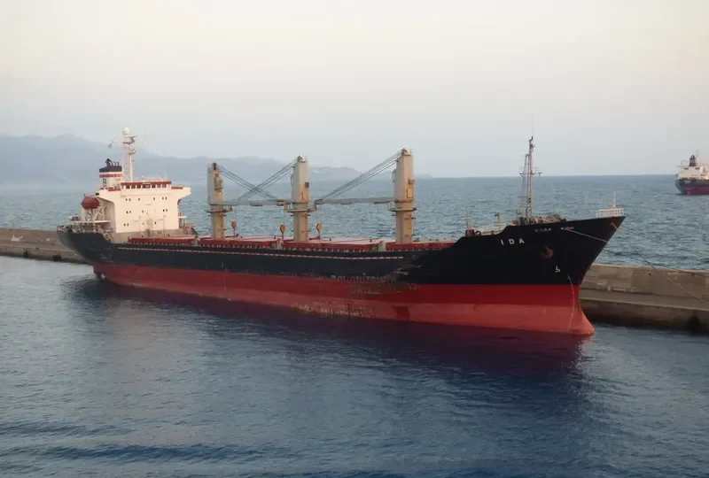 IDA Bulk Carrier IMO 9109536 photo 7