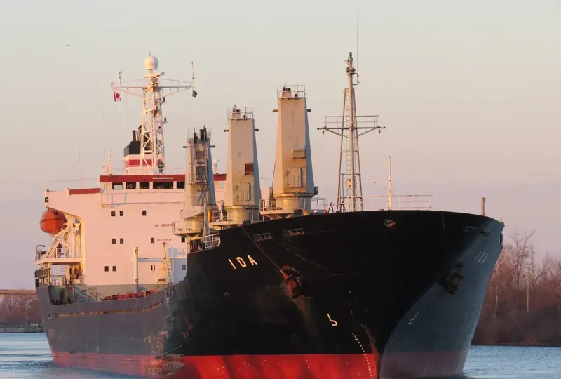 IDA Bulk Carrier IMO 9109536 photo 9
