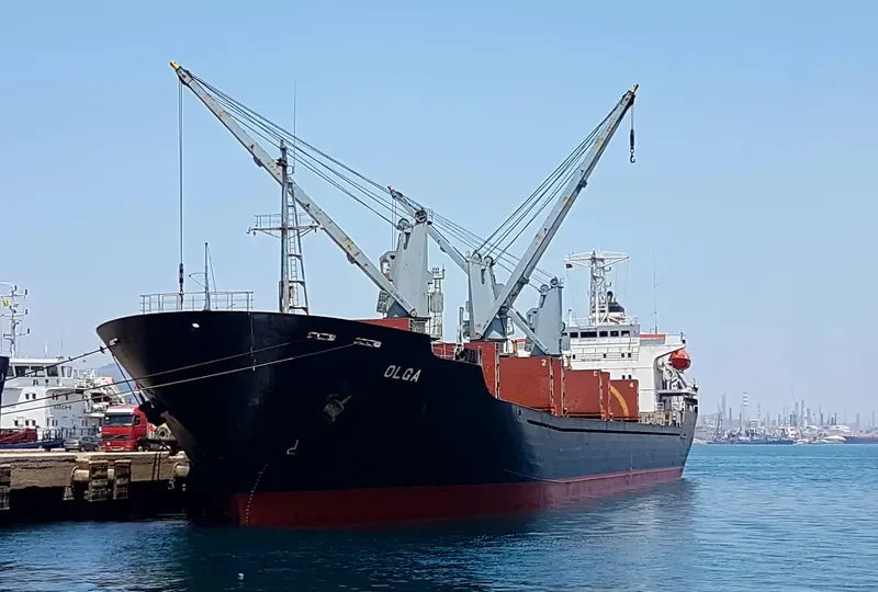OLGA Bulk Carrier IMO 9109548