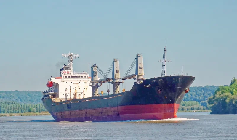 OLGA Bulk Carrier IMO 9109548 photo 2